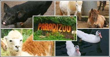 Paradizoo