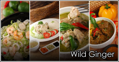 Wild Ginger